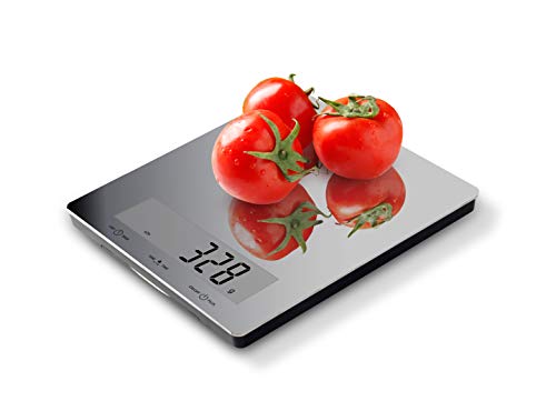 ScenicScale Best Food Scale 5kg/11lbs Capacity Stainless Steel