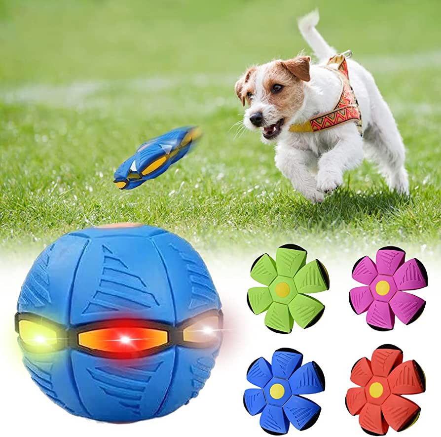 PetJiggle™ Dog Frisbee