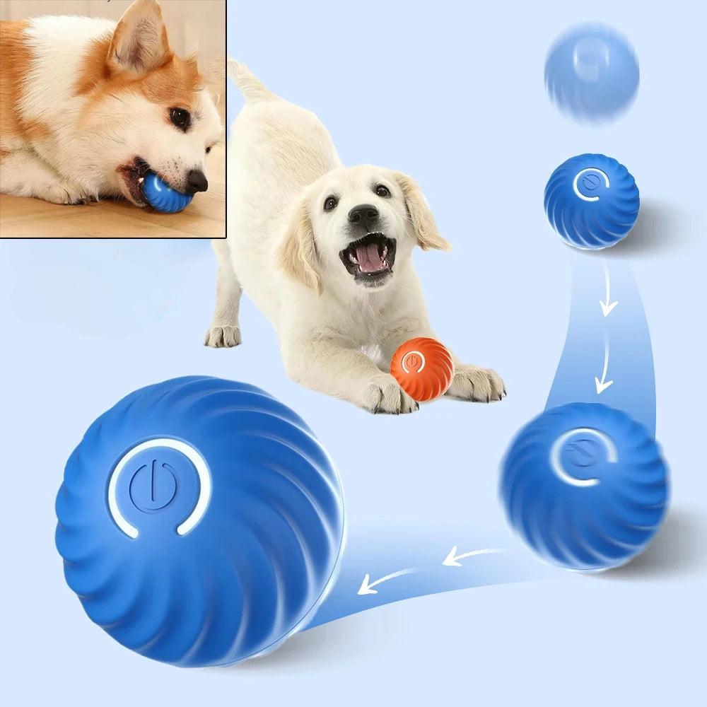 PetJiggle™ Pet Interactive Toy Ball