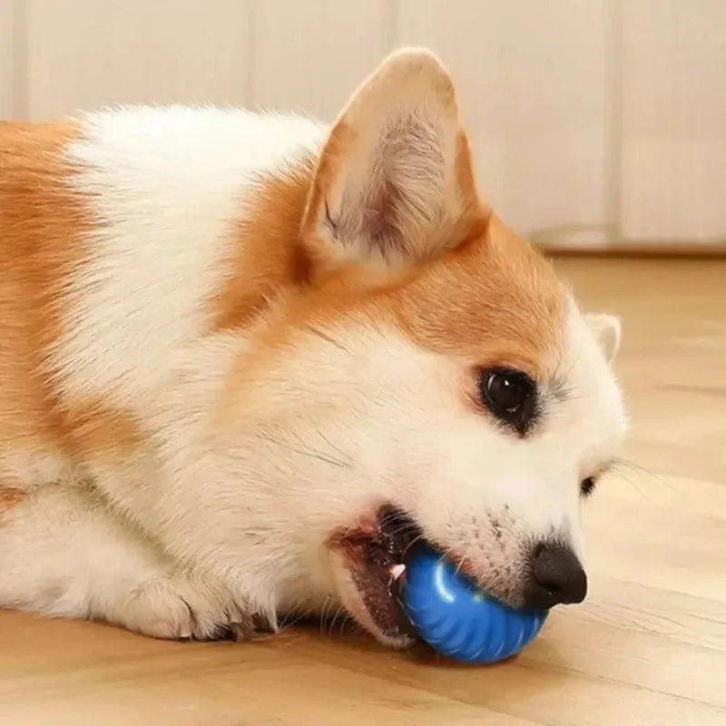 PetJiggle™ Pet Interactive Toy Ball