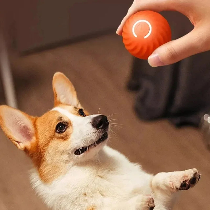 PetJiggle™ Pet Interactive Toy Ball