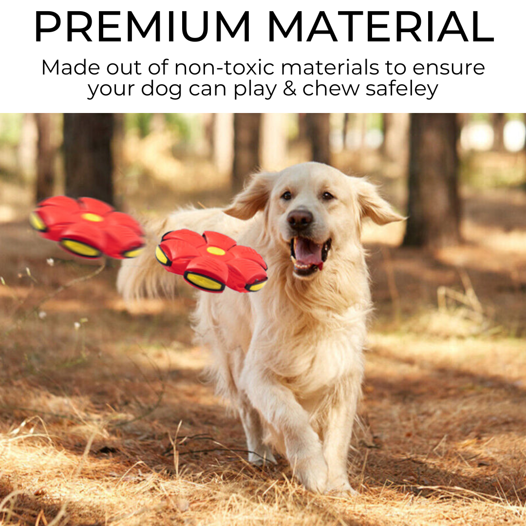 PetJiggle™ Dog Frisbee