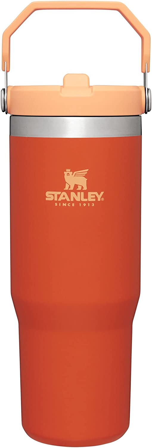 Stanley IceFlow Gobelet en acier inoxydable avec paille, bouteille d'eau isolée sous vide pour la maison, le bureau ou la voiture, tasse réutilisable avec paille anti-fuite | 30 onces 