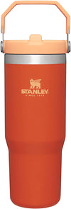 Copo de aço inoxidável Stanley IceFlow com canudo, garrafa de água isolada a vácuo para casa, escritório ou carro, copo reutilizável com canudo à prova de vazamentos | 30 onças 