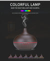 Oil Diffuser with Remote